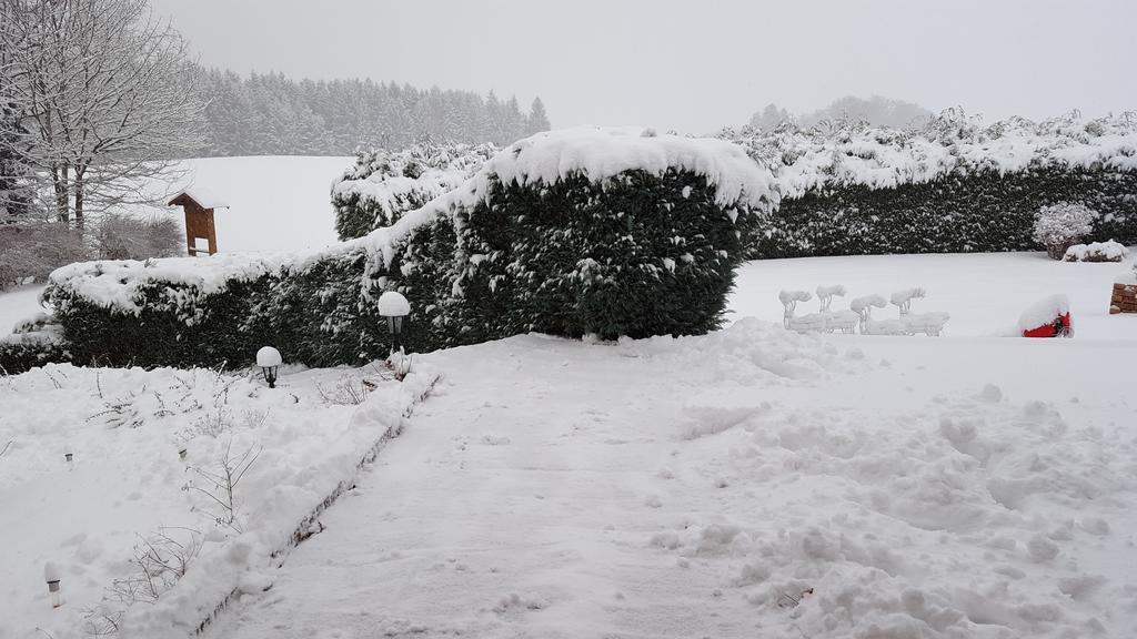Le Clos Des Aulnes Anould Exteriör bild