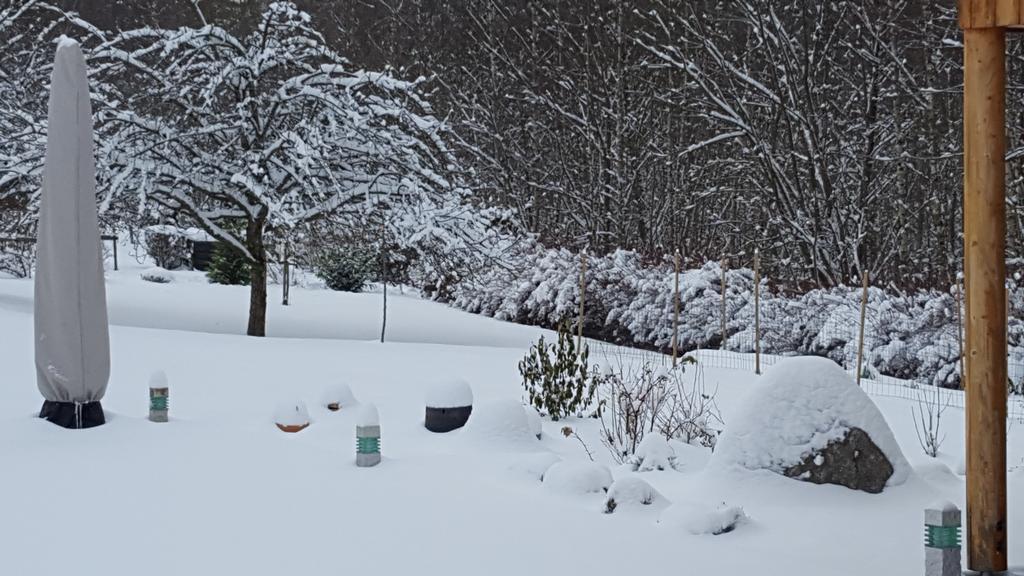 Le Clos Des Aulnes Anould Exteriör bild
