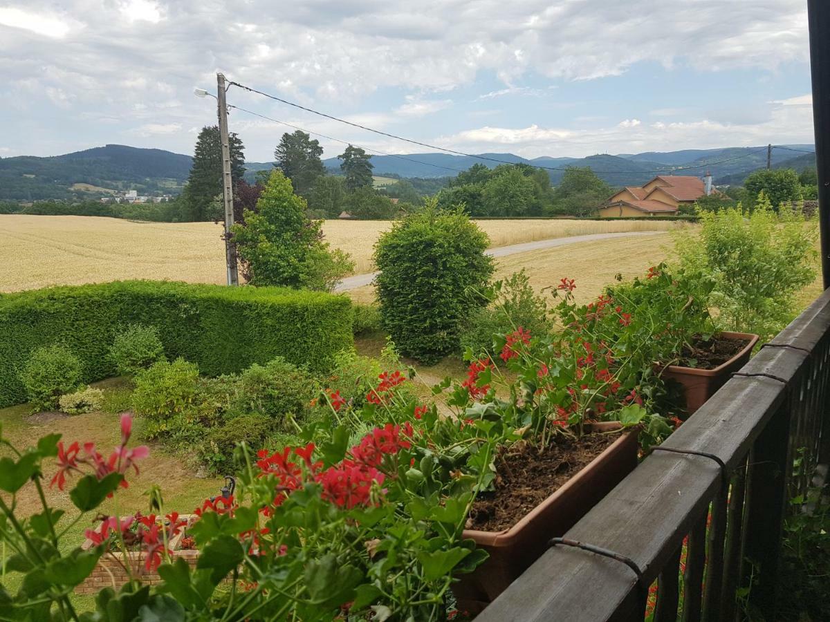 Le Clos Des Aulnes Anould Exteriör bild